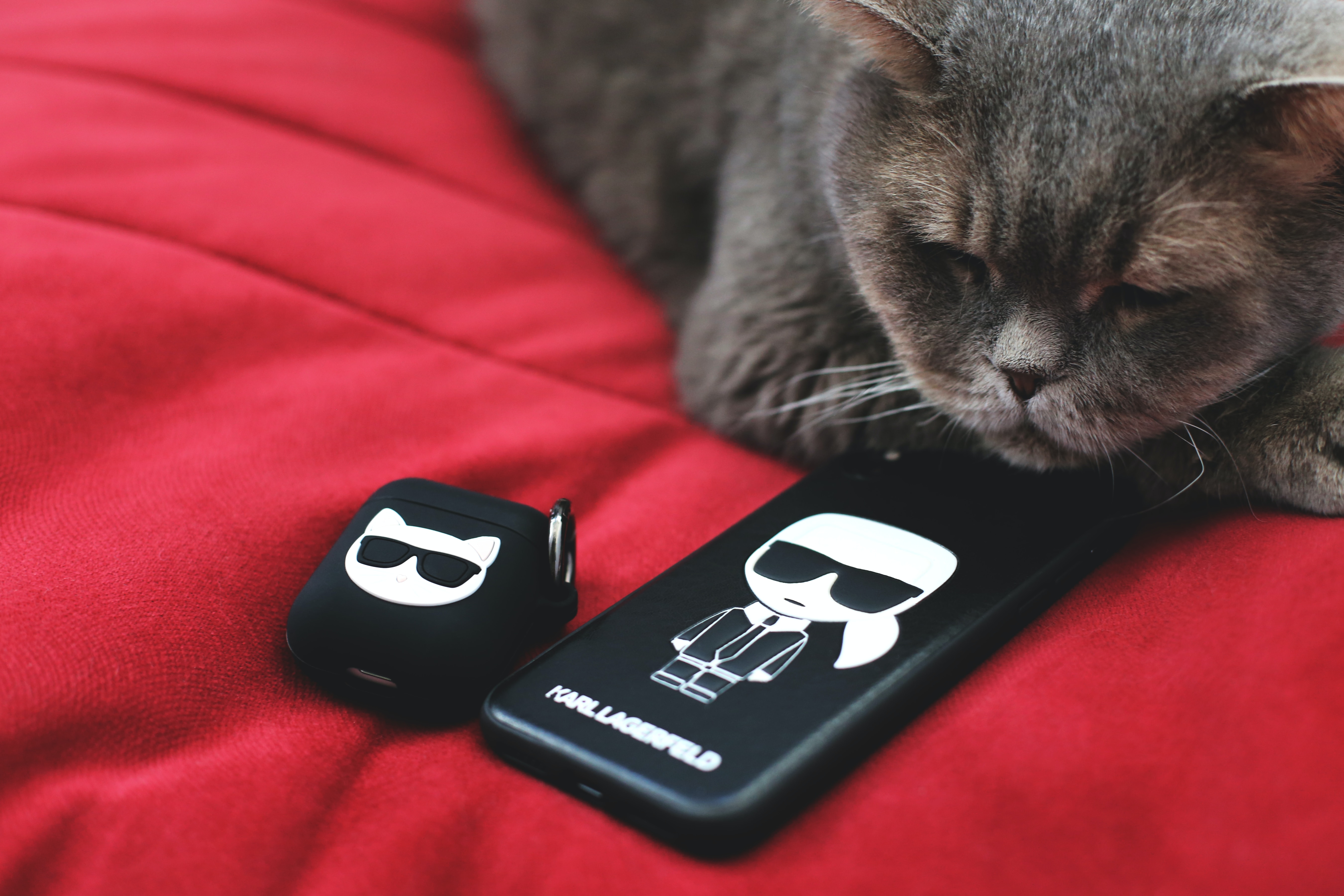 Karl Lagerfeld